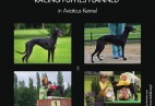 FCI Racing Champion. DE.Ch.BLACK  EDDY  Racing  Kings (D)