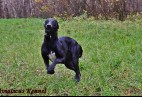 OLIMPIC  BEST  LADY  Aviaticus