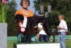 FCI Racing Champion. DE.Ch.BLACK  EDDY  Racing  Kings (D)