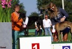 FCI Racing Champion. DE.Ch.BLACK  EDDY  Racing  Kings (D)
