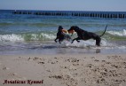p�wysep helski-pla�a w Cha�upach