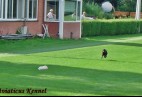 Trening na torze w Rijssen [NL]