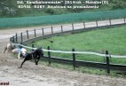 zawody na torze w Munster[DE] -2014rok