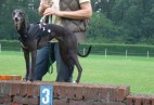 Racetrack Rijssen [NL] -Grote Prijs van Twente 2008