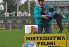 Mi�dzynarodowy Mistrz Polski 2013 rok