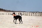 Cha�upy [PL]