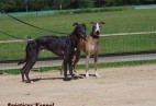 Z Mythagos FLASH  GIRL na torze w Munster [D]