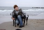Cha�upy [PL]