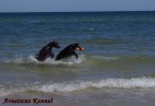 p�wysep helski-pla�a w Cha�upach