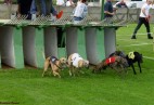 Racetrack Beringen [B] -INT  CACIL Memorial Roger Wielle 