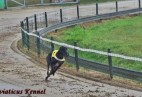 trening na torze w Munster [DE]