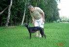 Racetrack Jubbega [NL] -