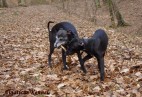  ze swoj� mamusi�  Aviaticus  MISS  PENNY