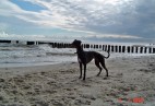 Cha�upy [PL]