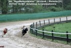 zawody  w Munster [DE] -2014 rok