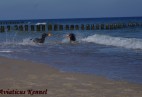 p�wysep helski-pla�a w Cha�upach
