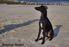 pierwszy raz na pla�y w Cha�upach-p�wysep helski